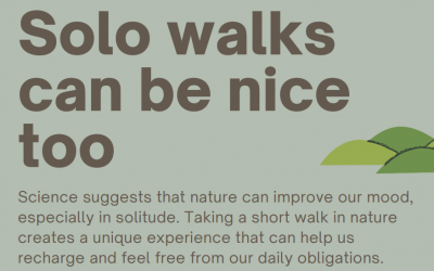 Walking Solo – Durham University Researchers Encourage Alone Time in Nature